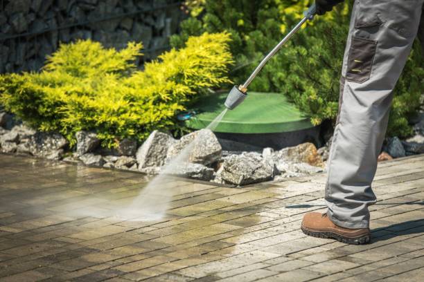 Best Post-Construction Pressure Washing  in Northdale, FL